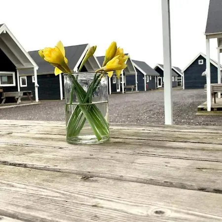 Hébergement de vacances 4 Star In Thyborøn