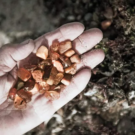 Ferienhaus 4 Star In *