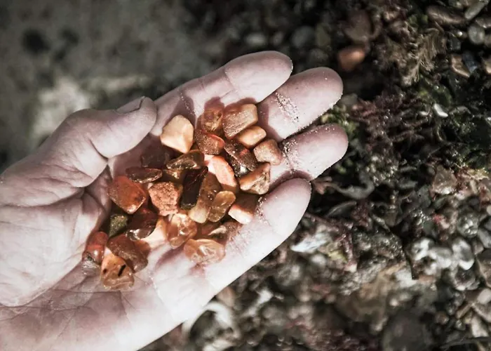 Hébergement de vacances 4 Star In *